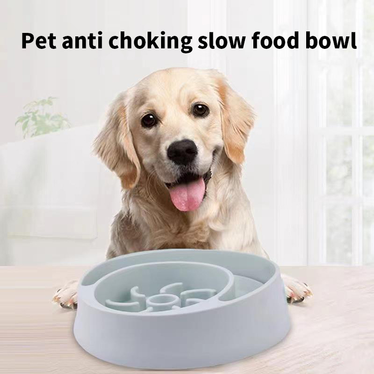 Cheap price top quality dog feeding bowls slow eating feed feeders maze bowl